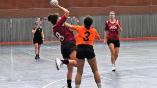 Final Balonmano FECEM -Cerbuna